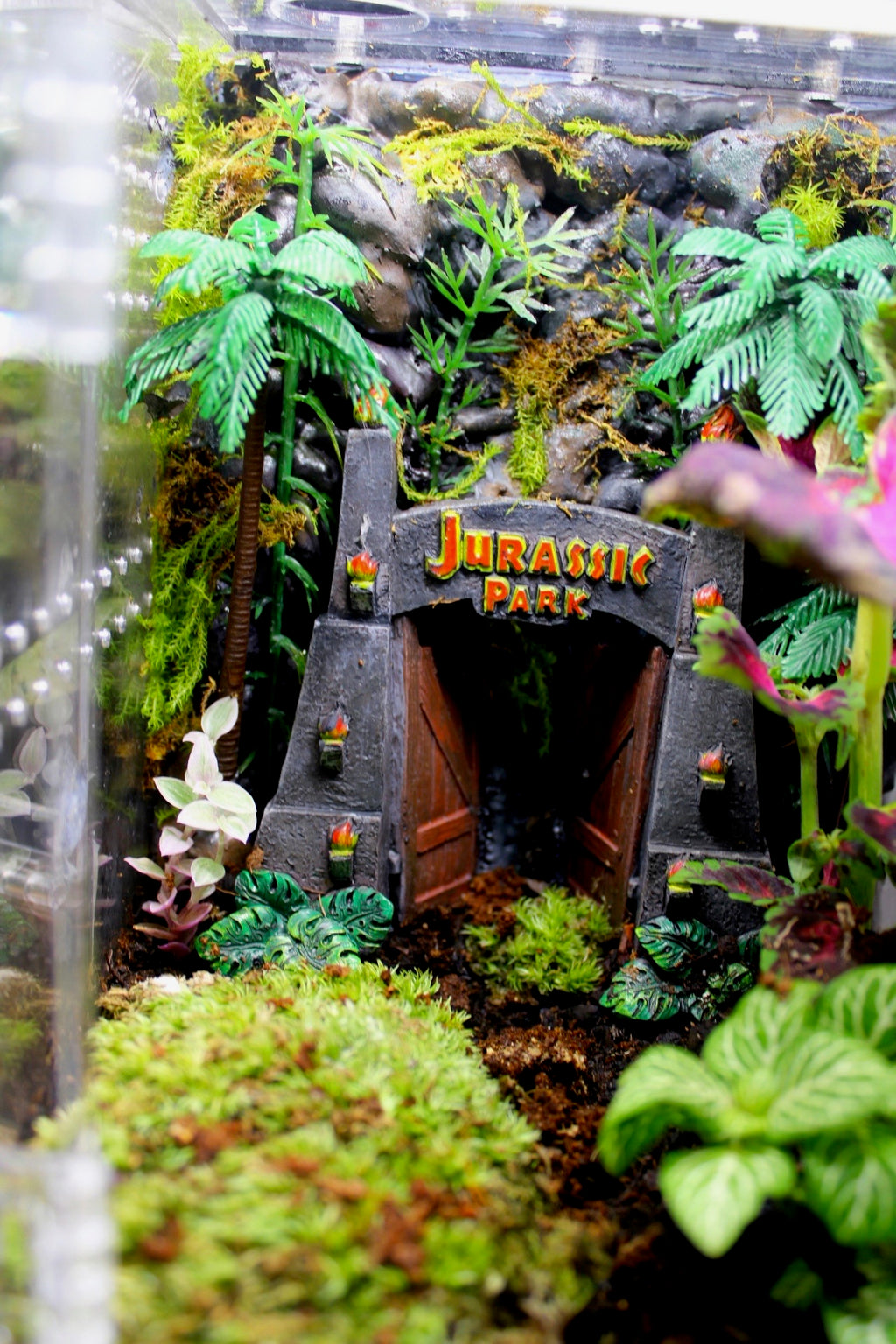 Jurassic Jumping Spider Enclosure