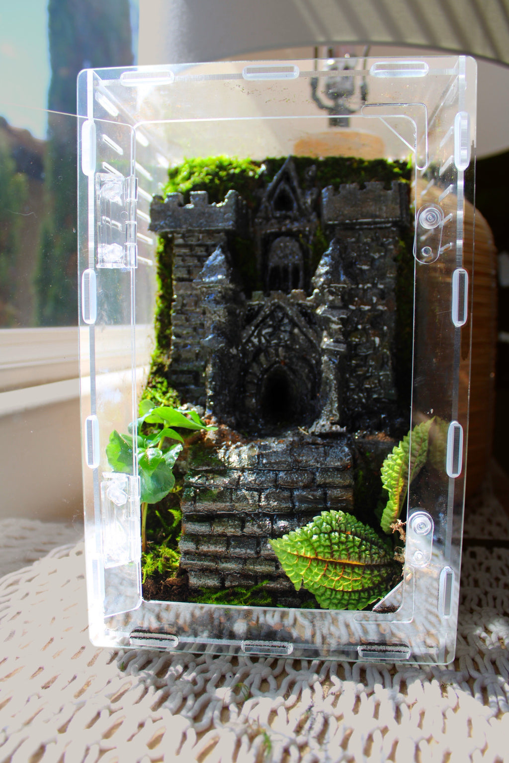Custom Castle Jumping Spider Enclosure
