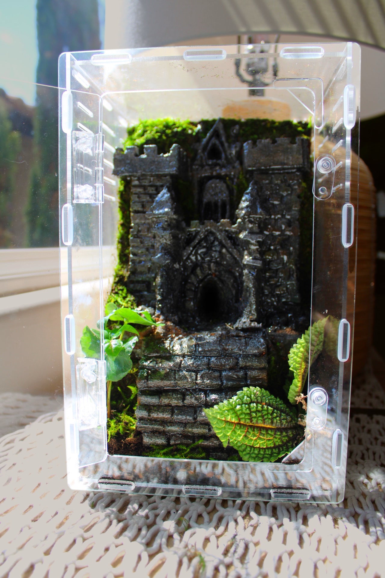 Custom Castle Jumping Spider Enclosure