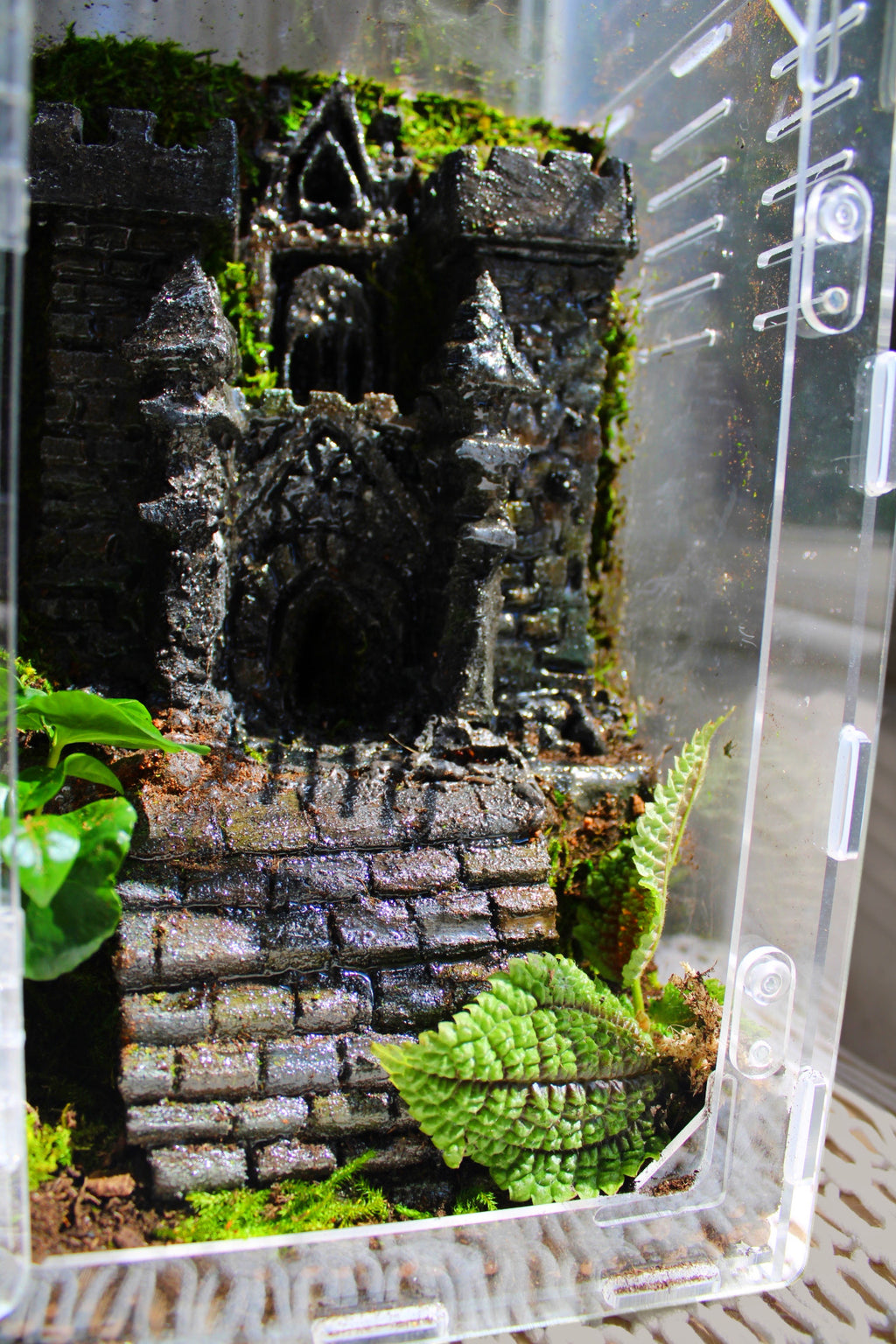Custom Castle Jumping Spider Enclosure