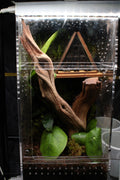 Cabin In The Woods Bioactive Jumping Spider Enclosure