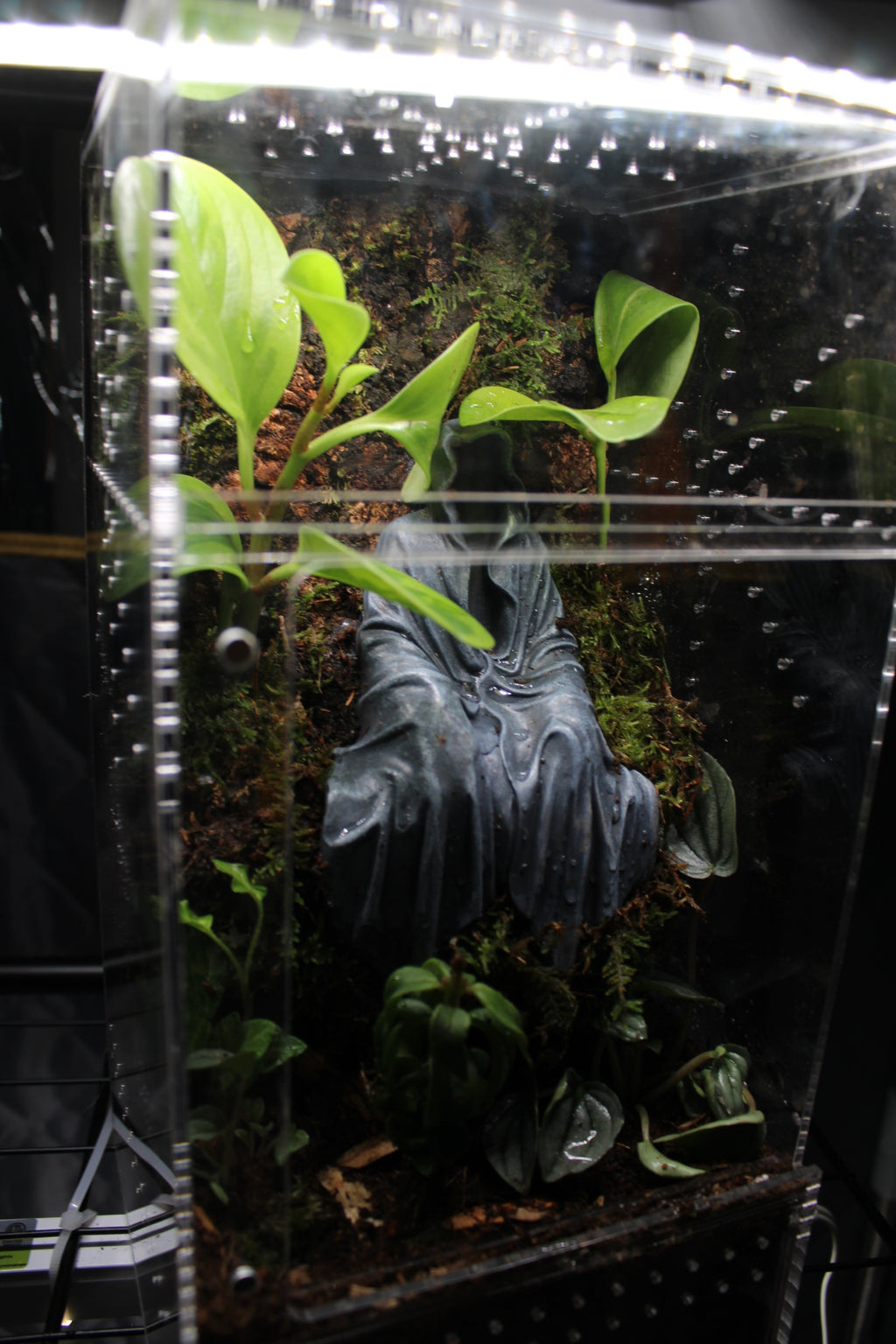 Dark Fantasy Shrine Bioactive Jumping Spider Enclosure