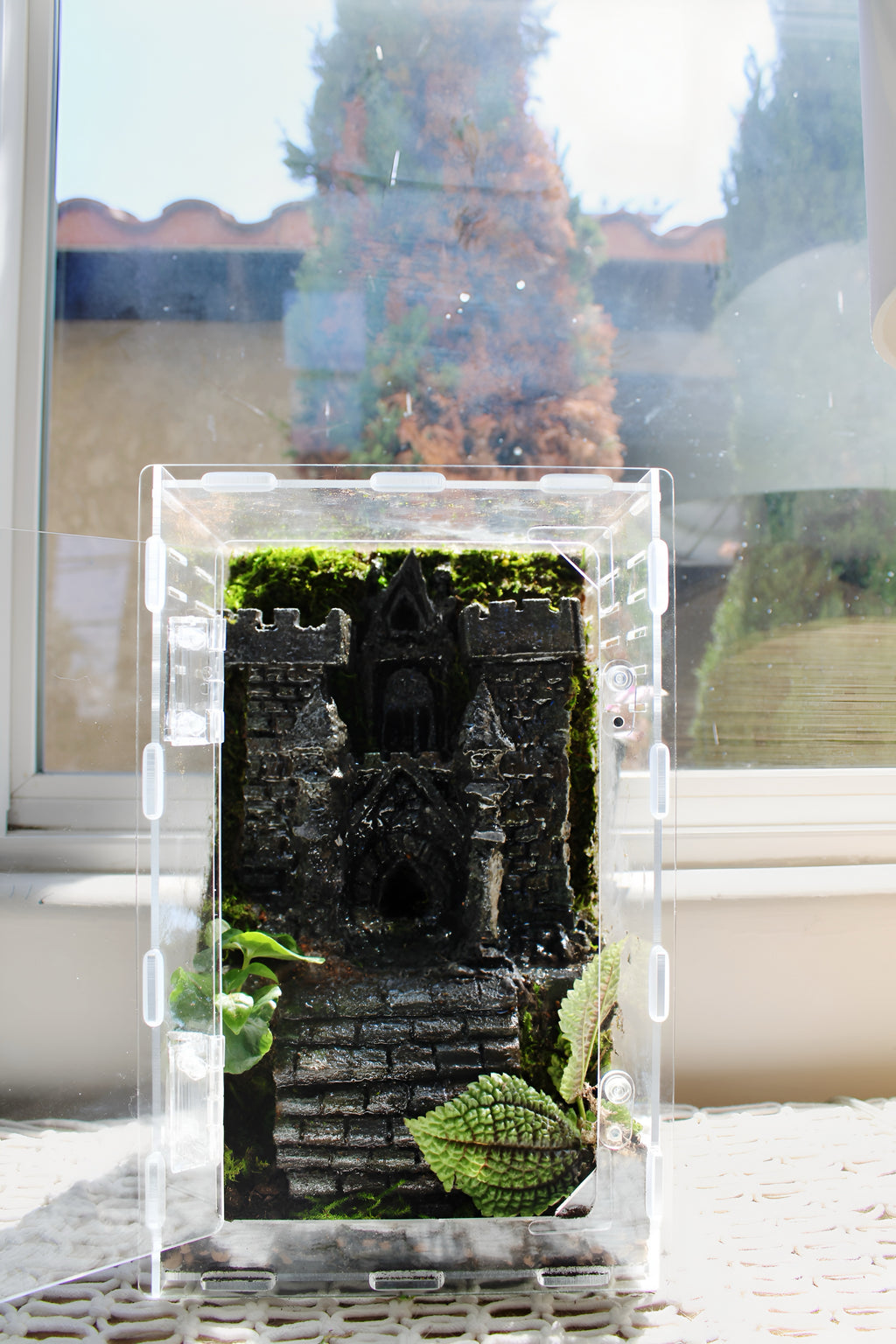 Custom Castle Jumping Spider Enclosure