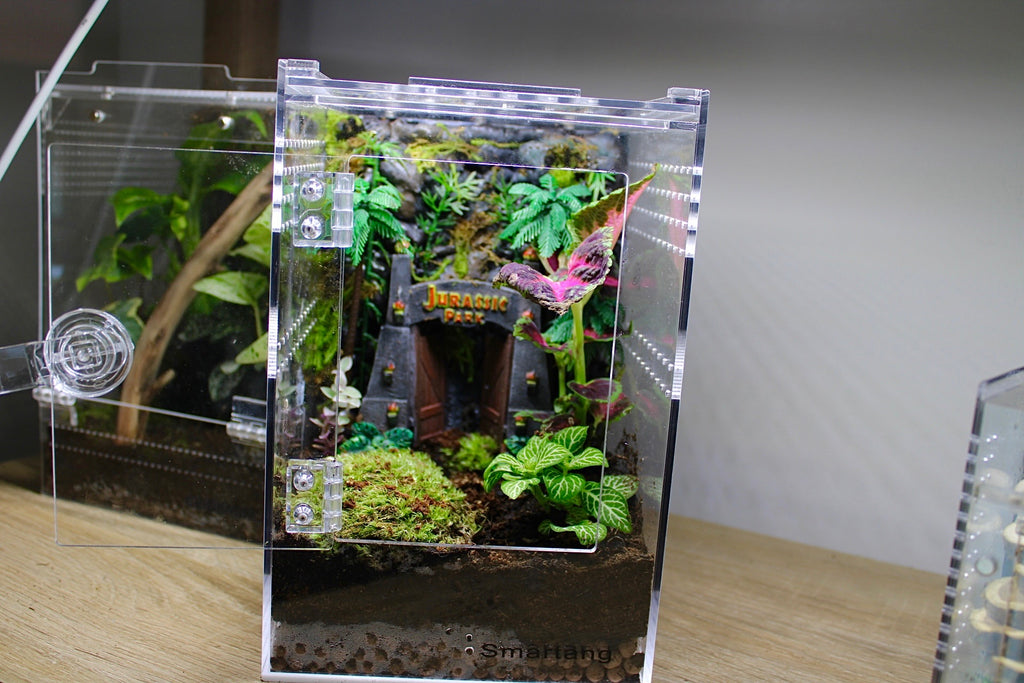 Jurassic Jumping Spider Enclosure
