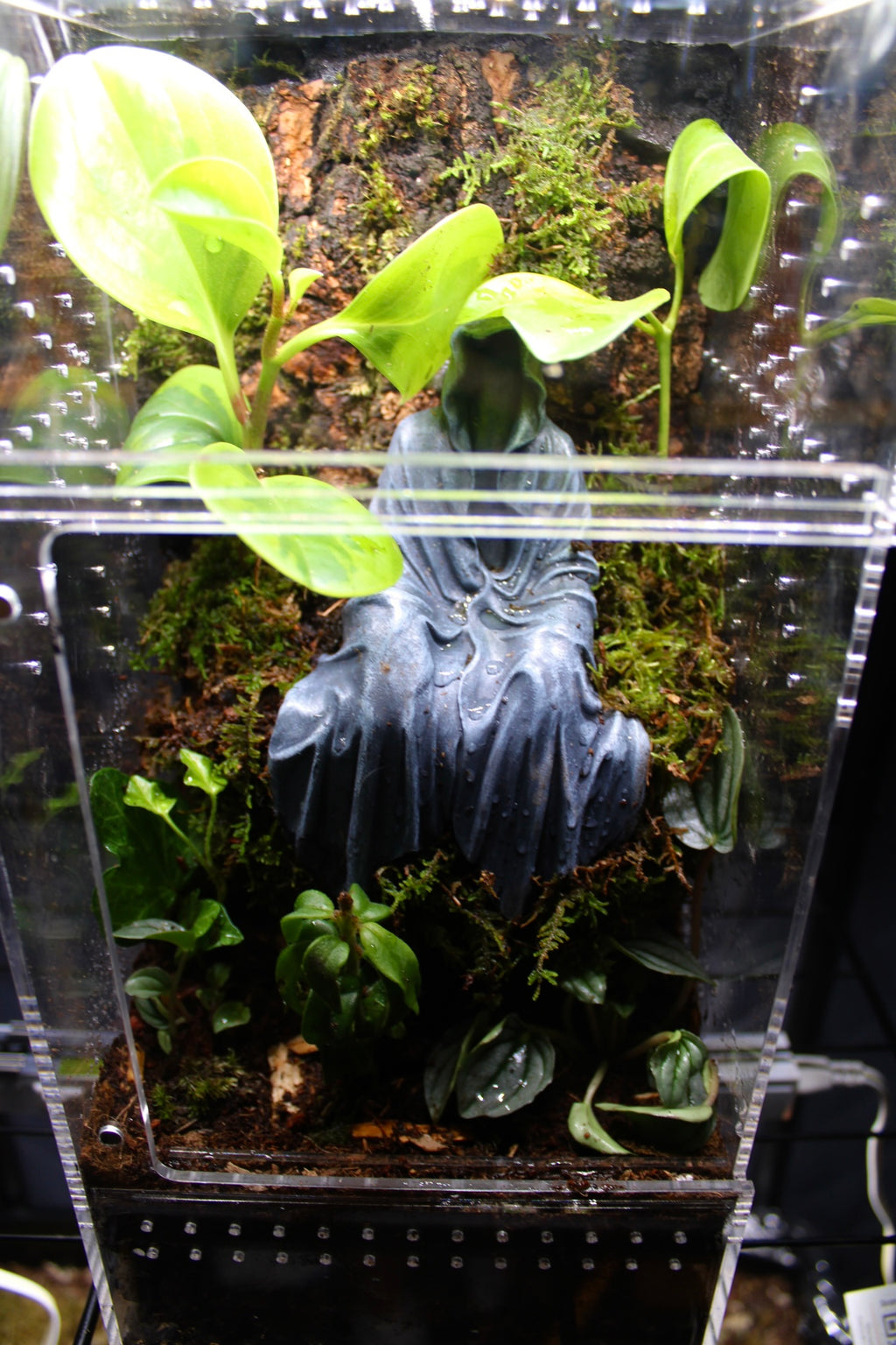 Dark Fantasy Shrine Bioactive Jumping Spider Enclosure