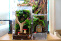 Custom Bioactive Jumping Spider Enclosure