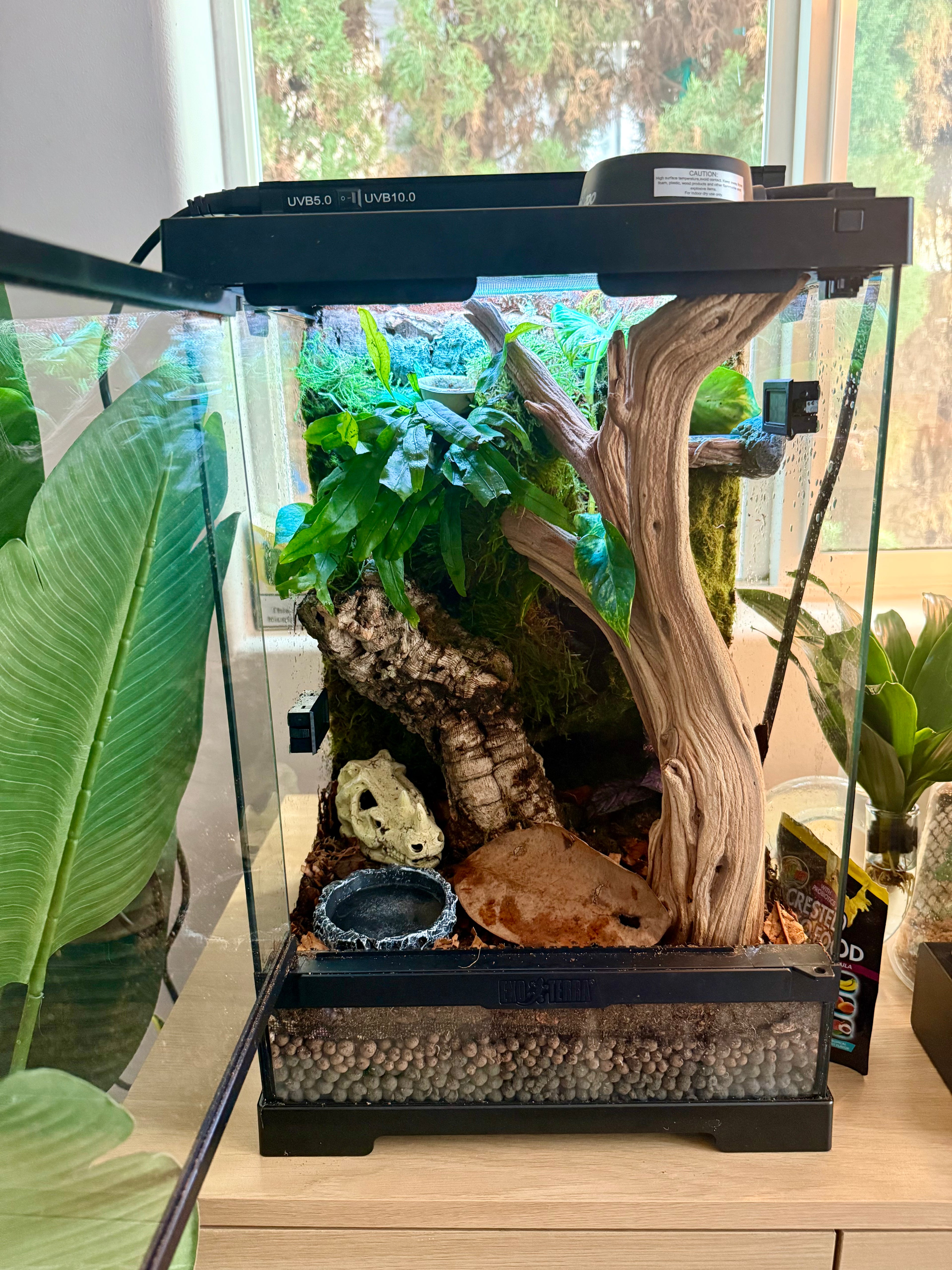 Signature Bioactive Habitat 12x12x18