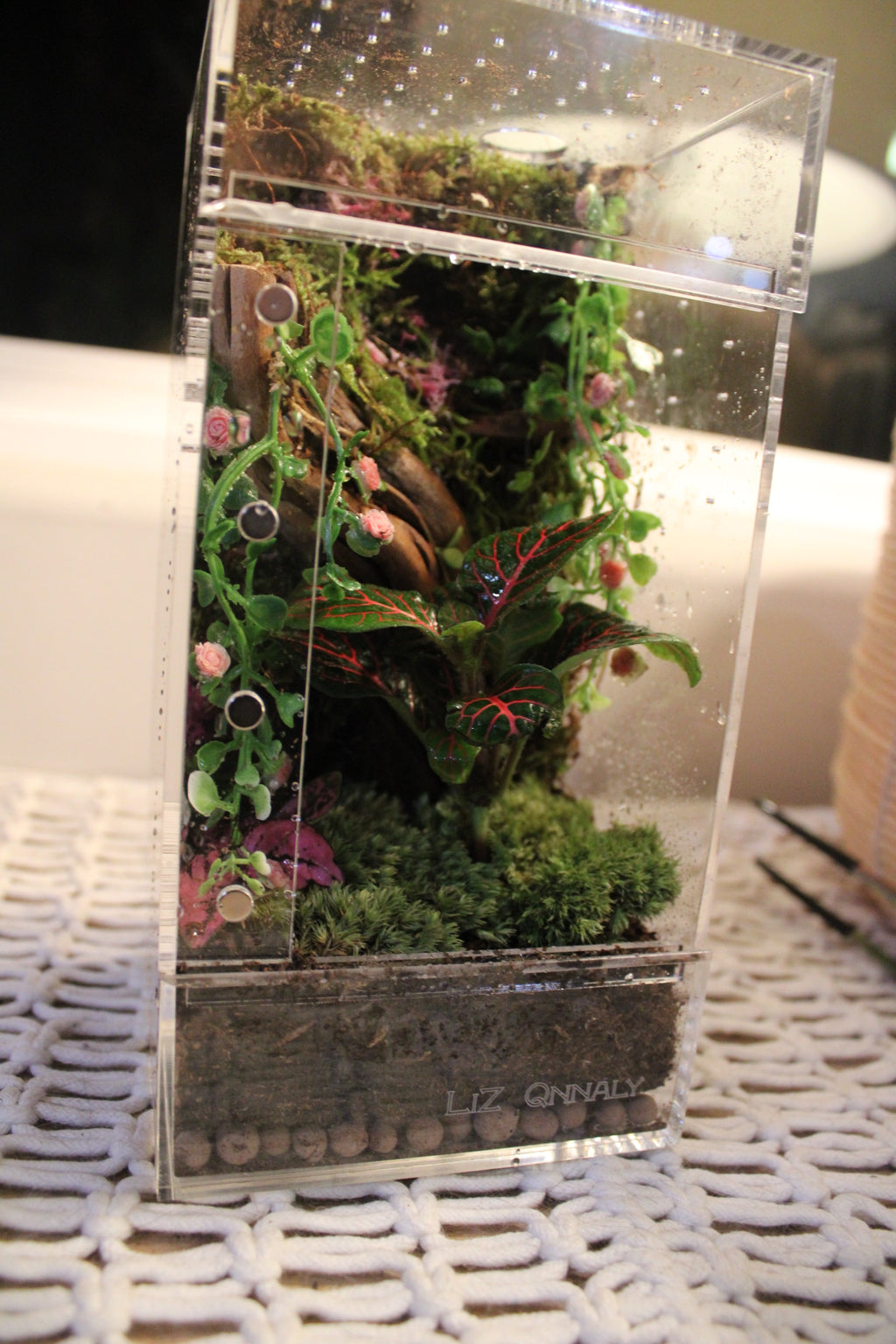 Mossy Rose Garden Bioactive Jumping Spider Enclosure
