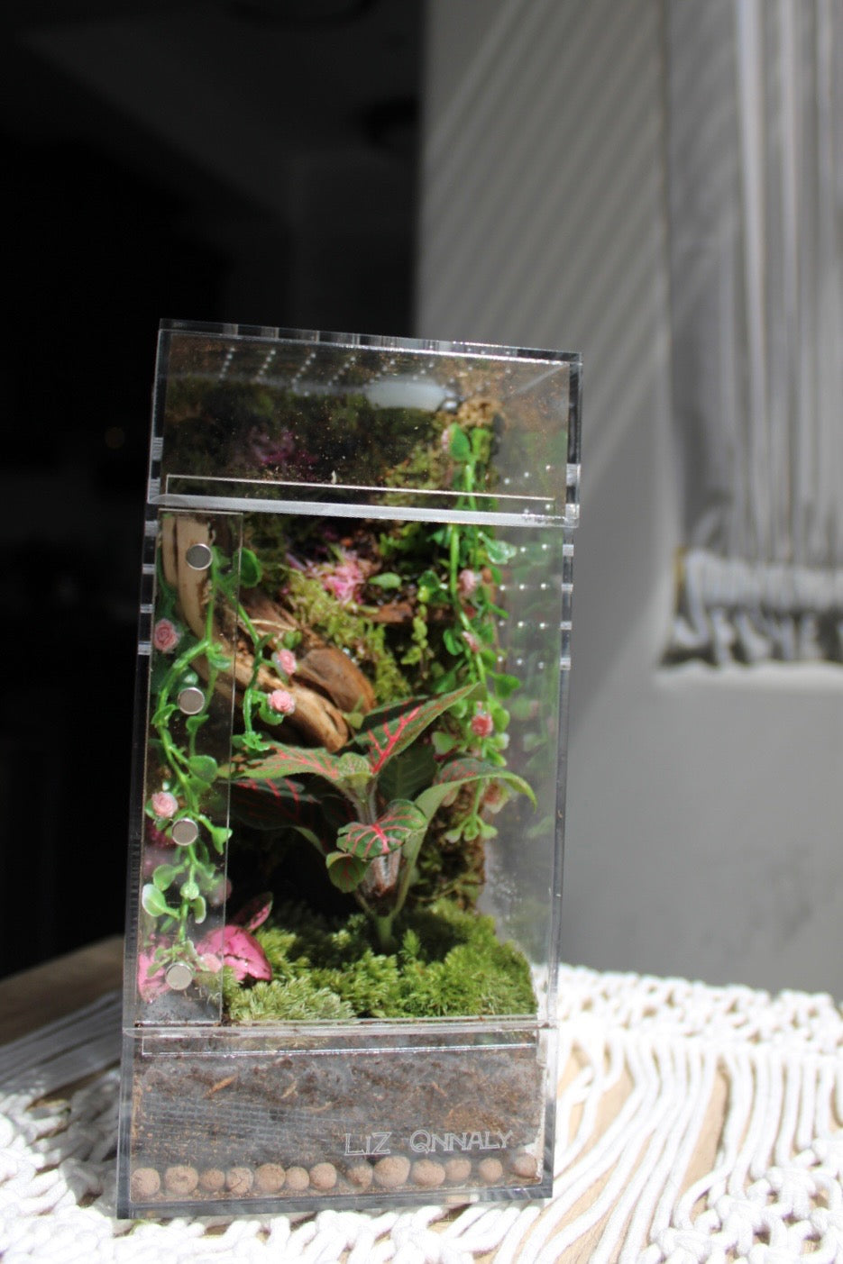 Mossy Rose Garden Bioactive Jumping Spider Enclosure