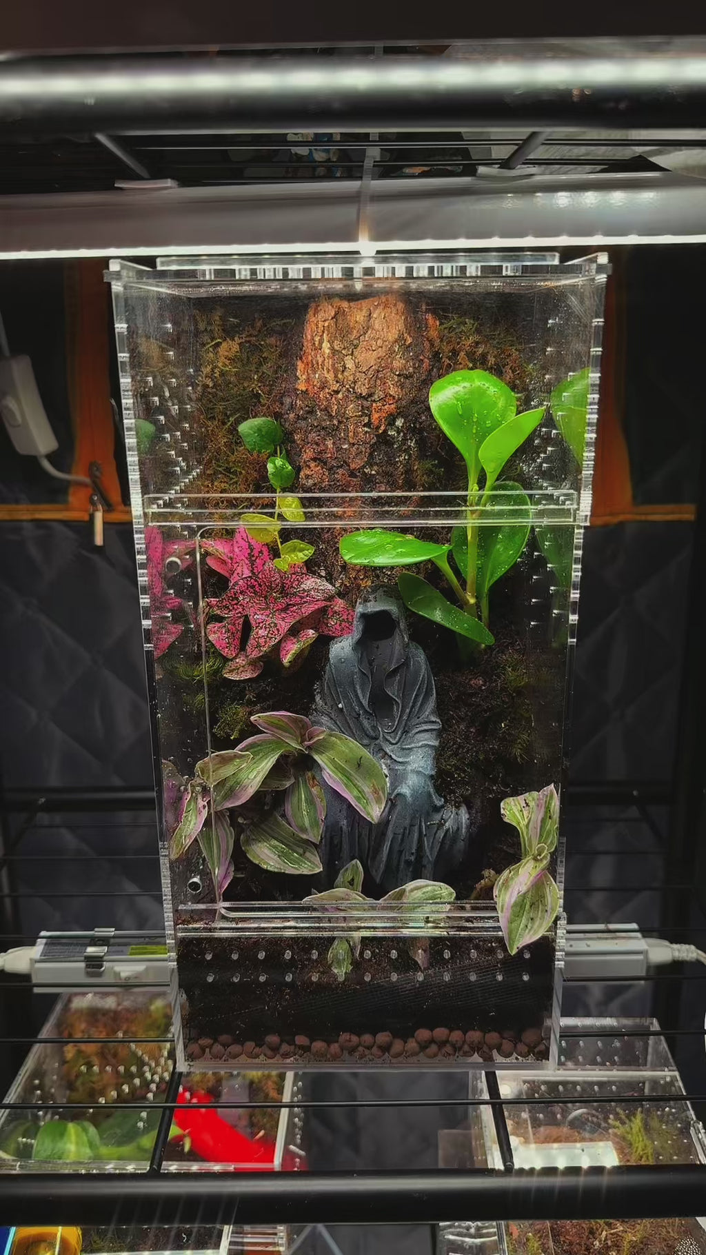 Dark Fantasy Shrine Bioactive Jumping Spider Enclosure